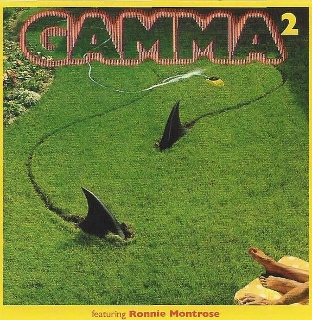Gamma2 (312x320)