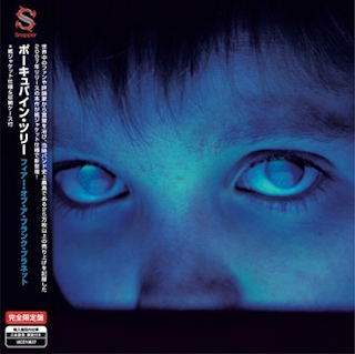 Porcupine Tree fear of a blank planet