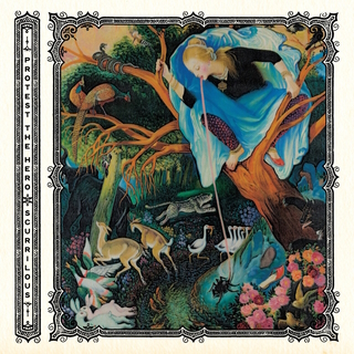 Protest the Hero scurrilous