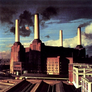 Pink Floyd animals (320x320)