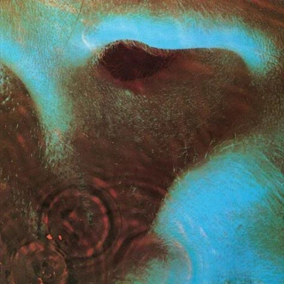 Pink Floyd meddle (320x320)