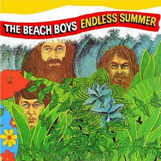 Beach boys endress summer (320x320)