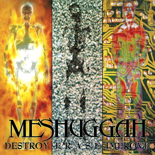 Meshuggah destroy erase improve
