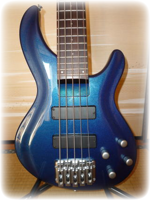 bass2 (320x426)