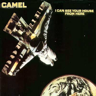 Camel I can see your house from here (320x320)
