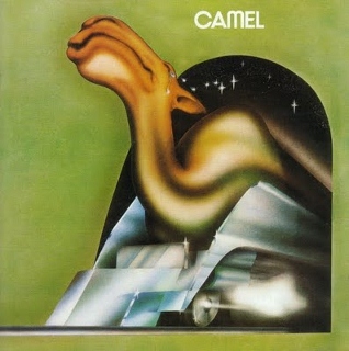 Camel (318x320)