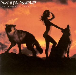 White Wolf endangered spicies (320x317)