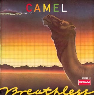 Camel breathless (318x320)
