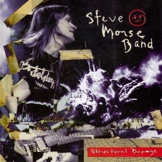 Steve Morse Band structural damage (320x320)