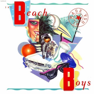 Beach boys made in USA (320x320)